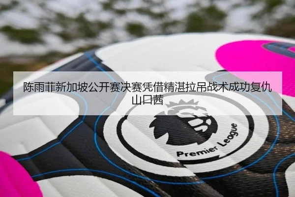 陈雨菲新加坡公开赛决赛凭借精湛拉吊战术成功复仇山口茜