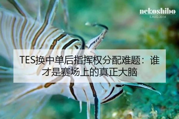 huan-zhong-dan-hou-zhi-hui-quan-fen-pei-nan-ti-shui-cai-shi-sai-chang-shang-de-zhen-zheng-da-nao-3-436.jpg