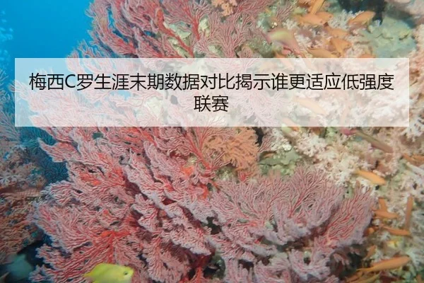 梅西C罗生涯末期数据对比揭示谁更适应低强度联赛